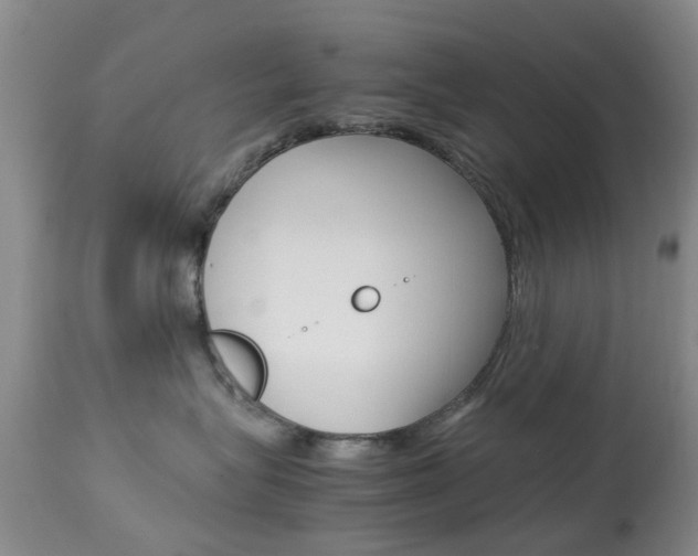 X0000113950575200909251006