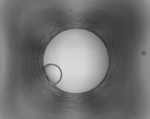 X0000113950576200909251006