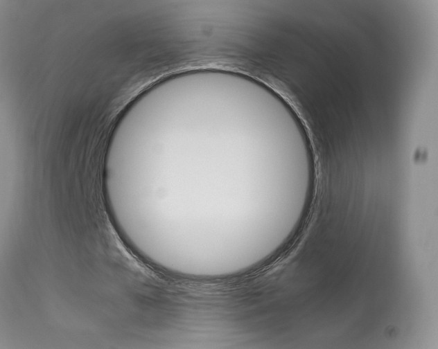X0000113950577200909251005