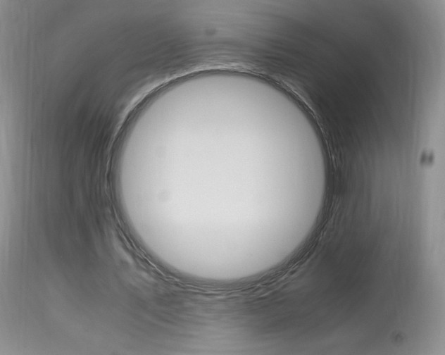 X0000113950579200909251005