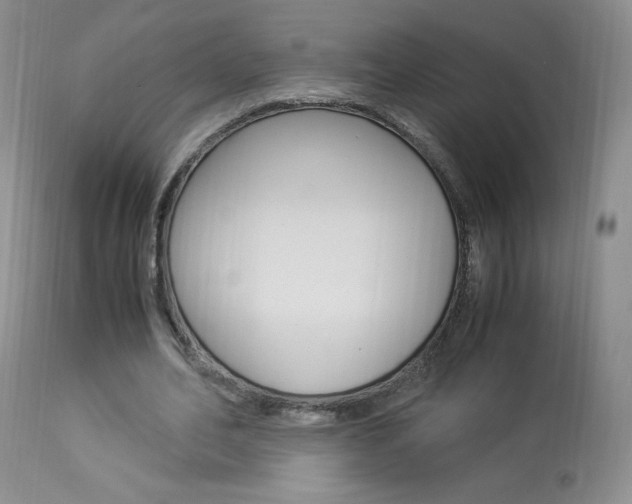 X0000113950582200909251005