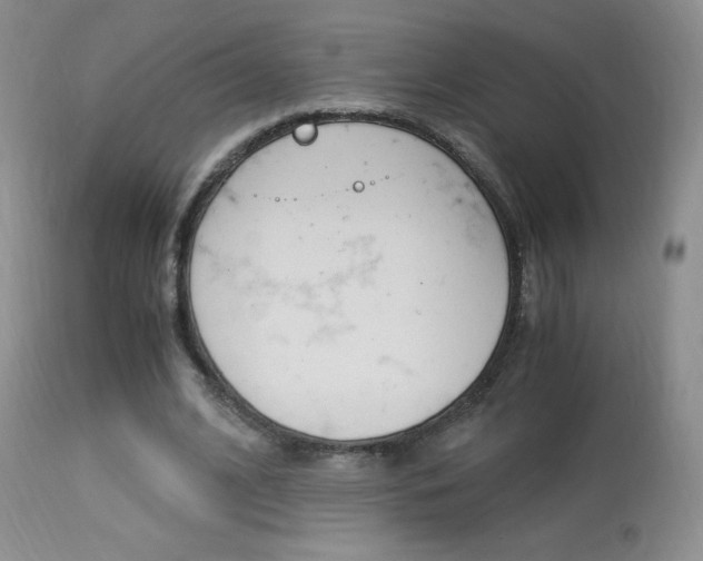X0000113950584200909251005