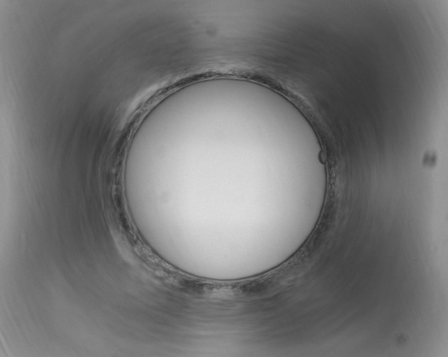 X0000113950587200909251005