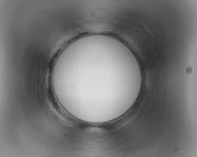X0000113950590200909251005
