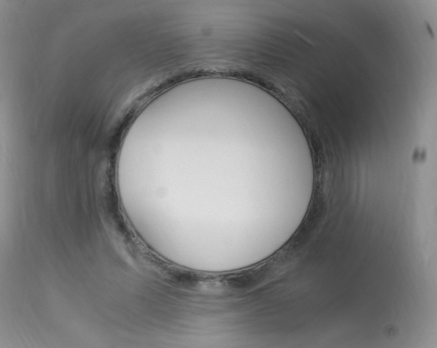 X0000113950591200909251005