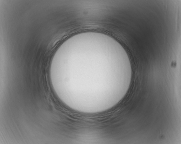 X0000113950595200909251005