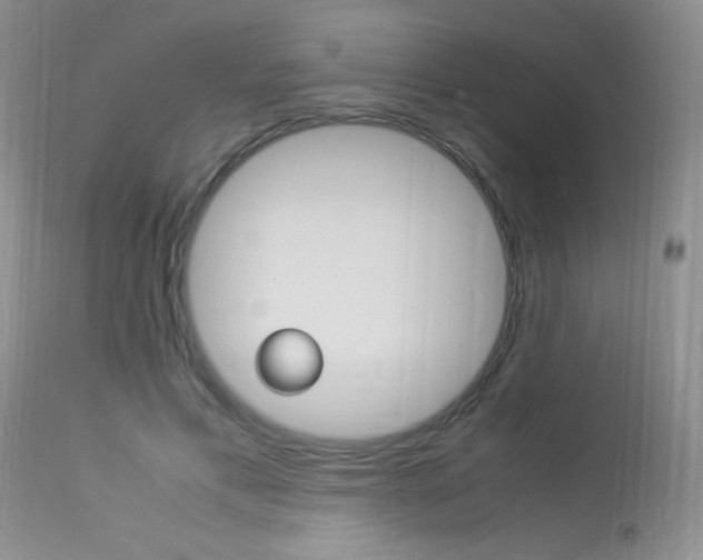 X0000113950597200909251005