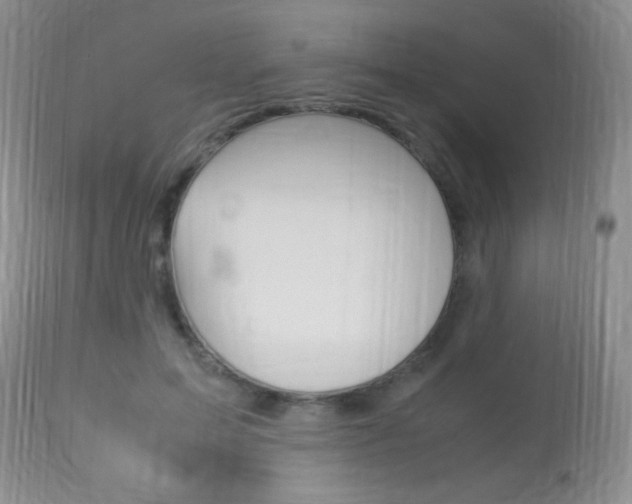X0000113950599200909251005
