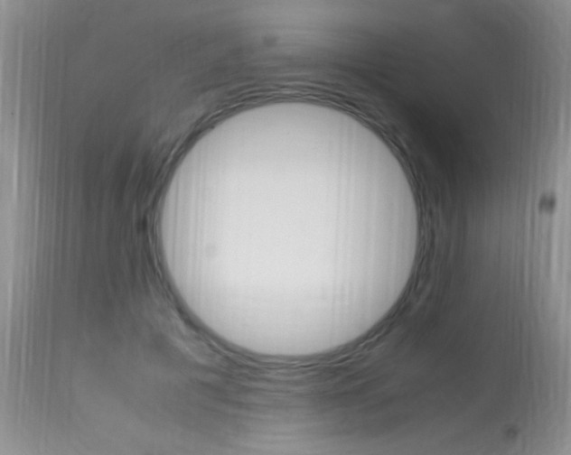 X0000113950601200909251005