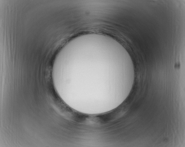 X0000113950603200909251005