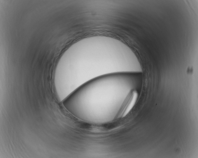 X0000113950605200909251005