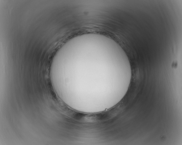 X0000113950606200909251005