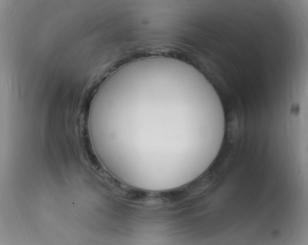 X0000113950608200909251005