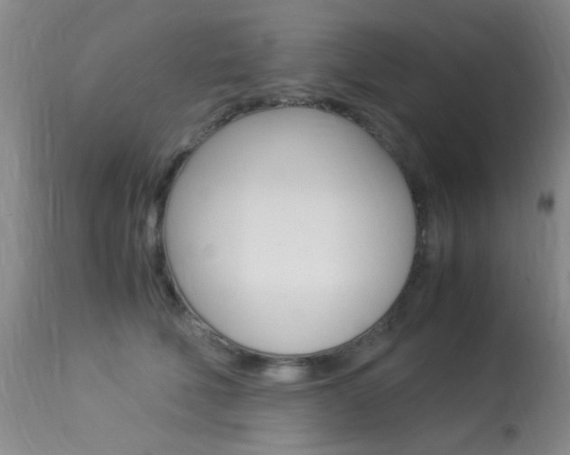 X0000113950610200909251005