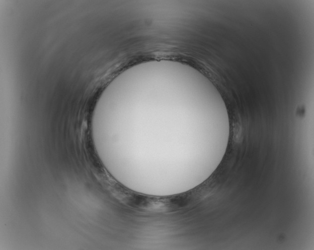 X0000113950618200909251005