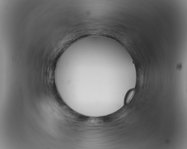 X0000113950619200909251005