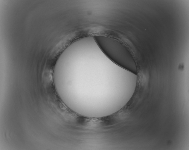 X0000113950621200909251005