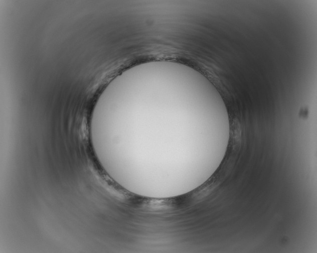 X0000113950622200909251005