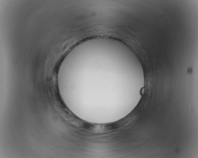 X0000113950623200909251005