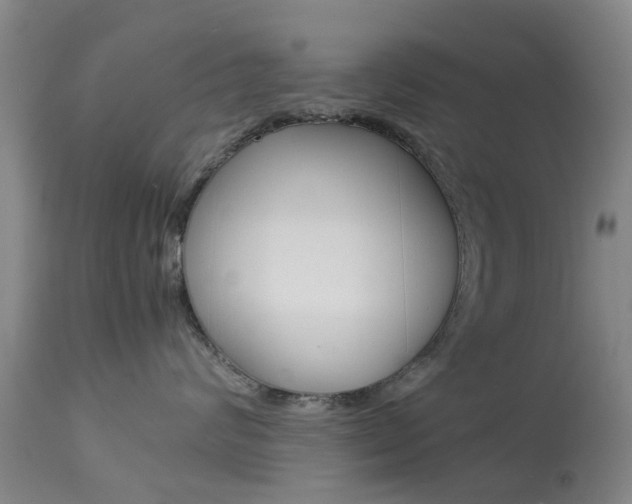X0000113950624200909251005