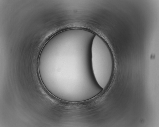 X0000113950625200909251004