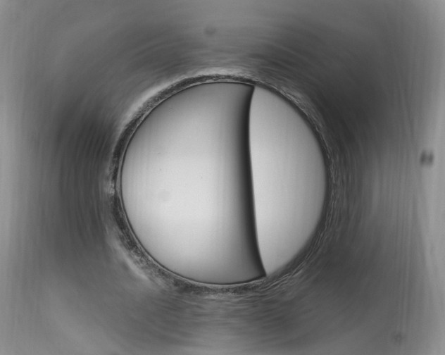 X0000113950628200909251004