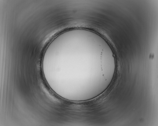 X0000113950629200909251004