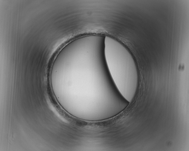 X0000113950630200909251004