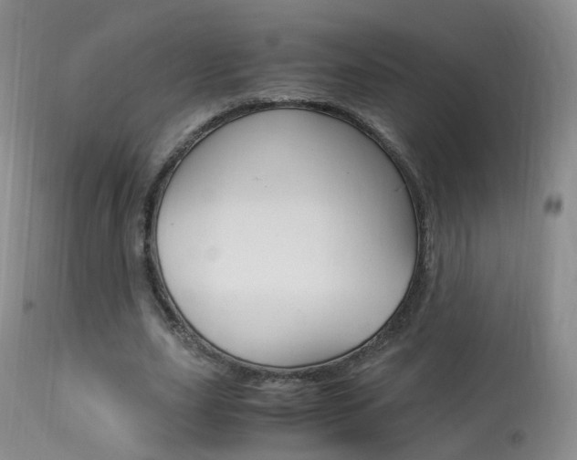 X0000113950631200909251004