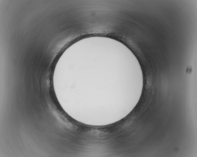 X0000113950632200909251004