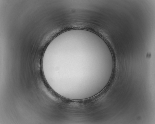X0000113950633200909251004
