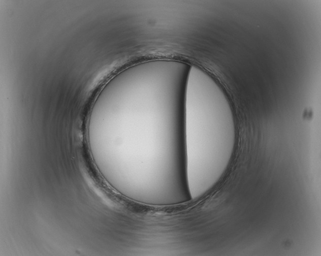 X0000113950634200909251004