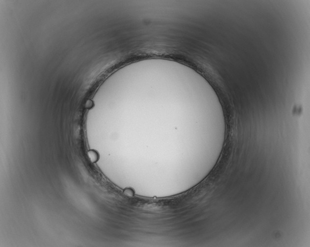 X0000113950635200909251004
