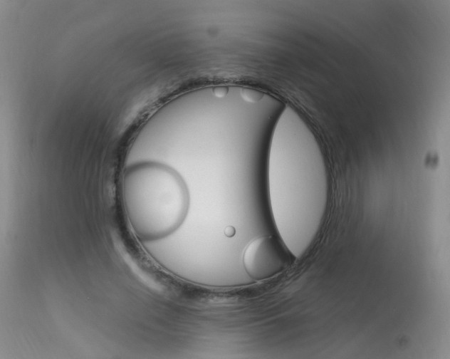 X0000113950638200909251004