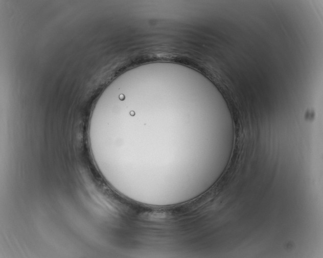 X0000113950639200909251004