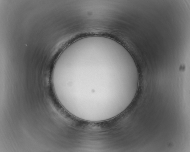 X0000113950640200909251004