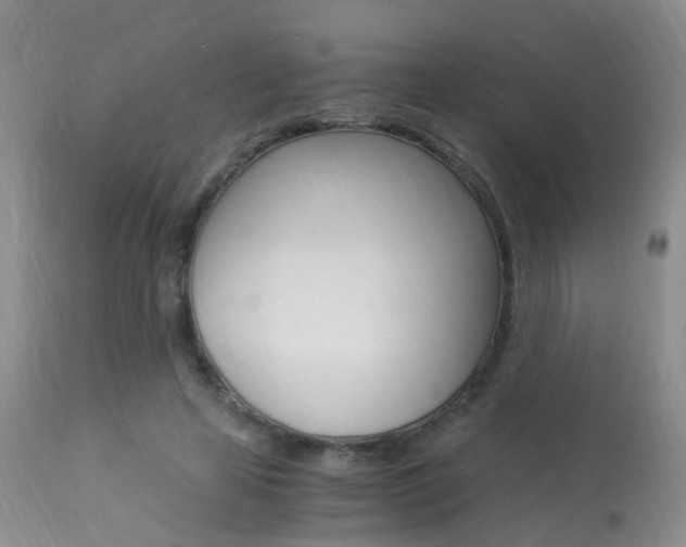 X0000113950641200909251004