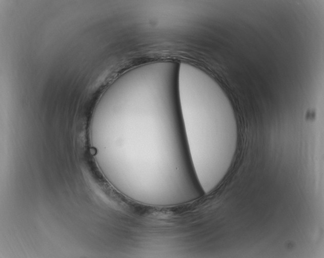 X0000113950642200909251004