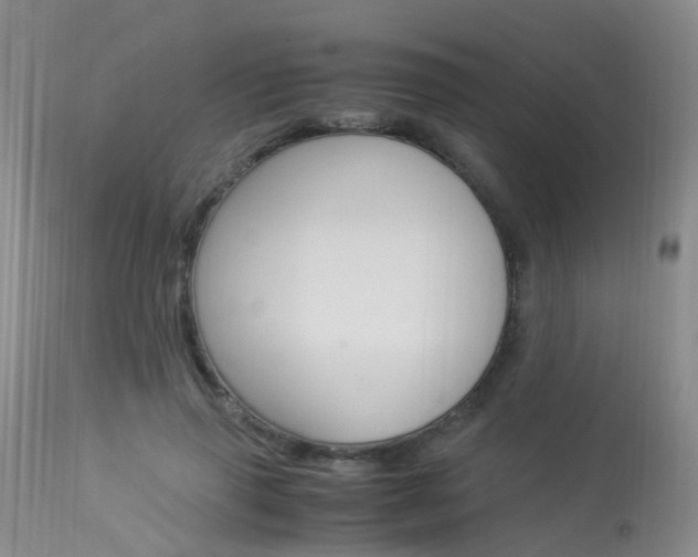 X0000113950645200909251004