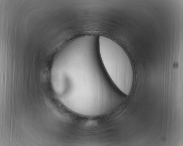 X0000113950647200909251004