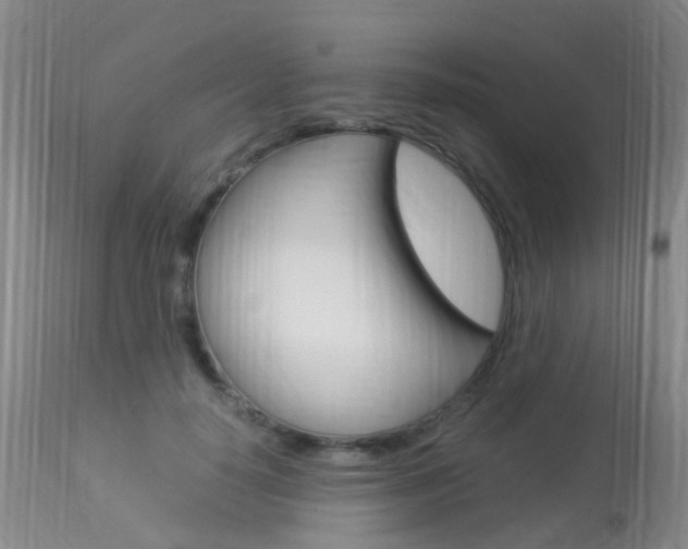X0000113950650200909251004