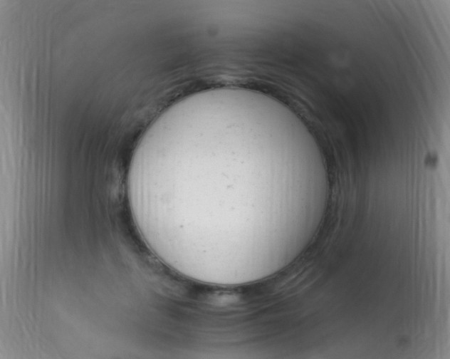 X0000113950651200909251004
