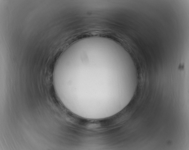 X0000113950653200909251004