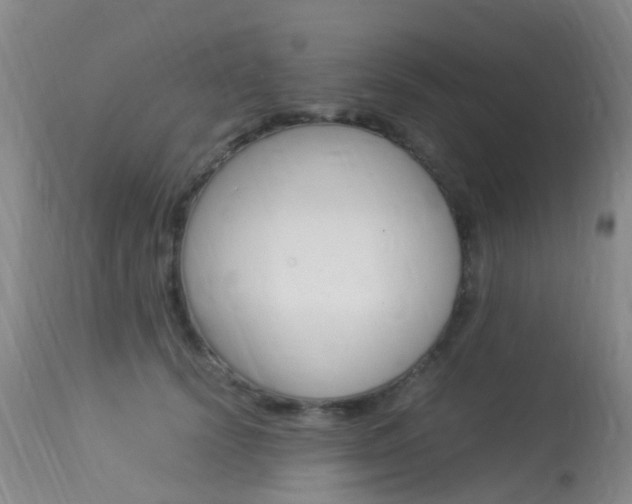 X0000113950656200909251004