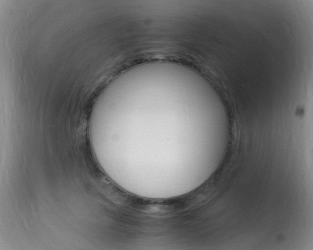 X0000113950657200909251004