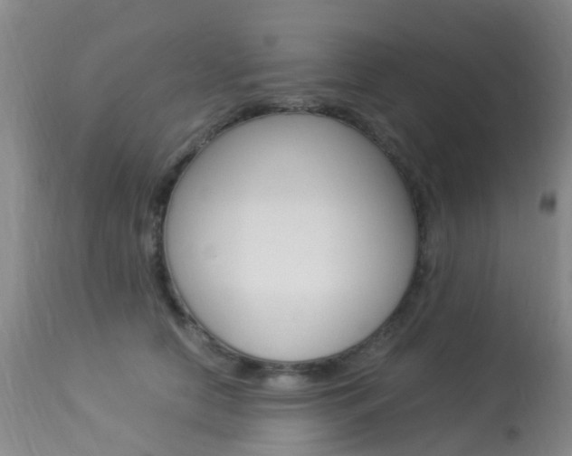 X0000113950658200909251004