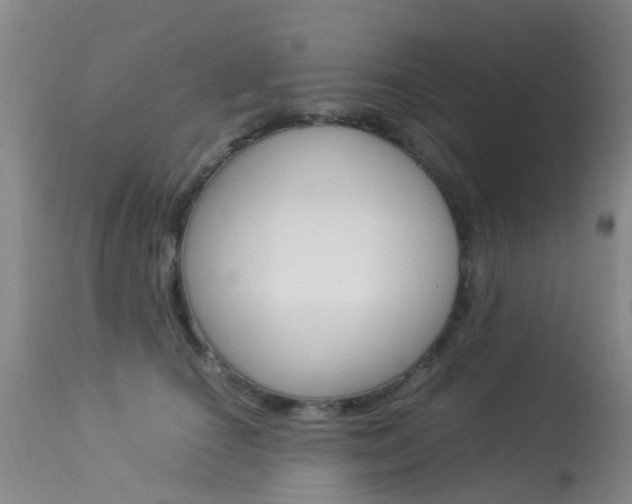 X0000113950660200909251004