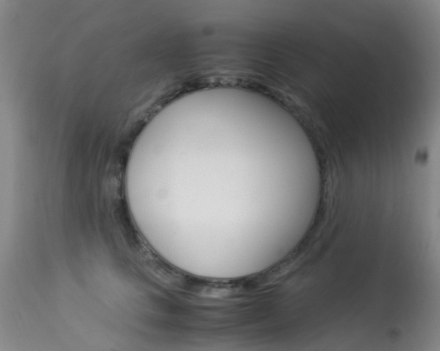 X0000113950661200909251004