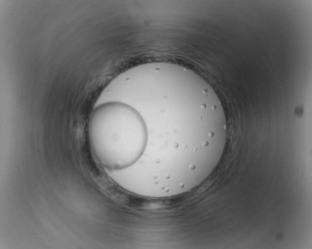 X0000113950662200909251004
