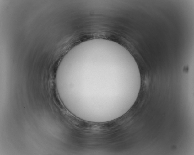 X0000113950663200909251004